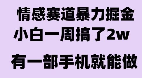 情感暴力掘金项目,新人操作一周挣了2W,长期稳定小白可做【揭秘】-铜臭网