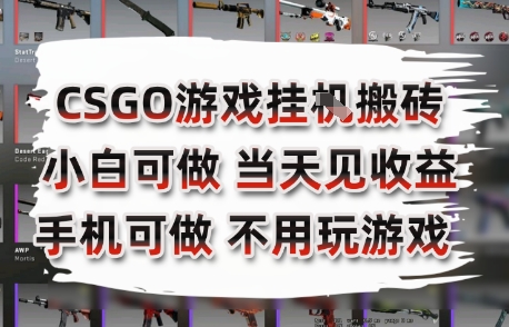 CSGO游戏挂G搬砖，小白纯手机即可操作，不用电脑打游戏，日入3张+，副业网创项目【揭秘】-铜臭网