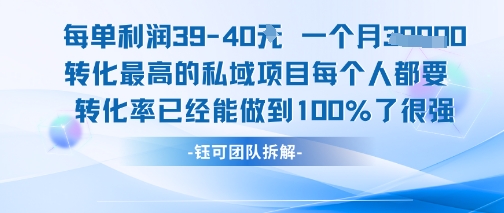 每单利润40一个月7k+转化最高的私域项目，每个人都要的产品转化率已经能做到100%-铜臭网