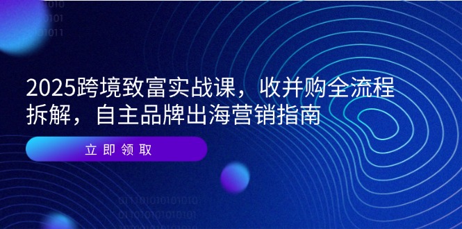 2025跨境致富实战课，收并购全流程拆解，自主品牌出海营销指南-铜臭网