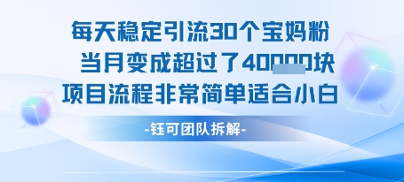 每天稳定引流30个人 当月变成超过了4个W项目流程非常简单适合小白-铜臭网