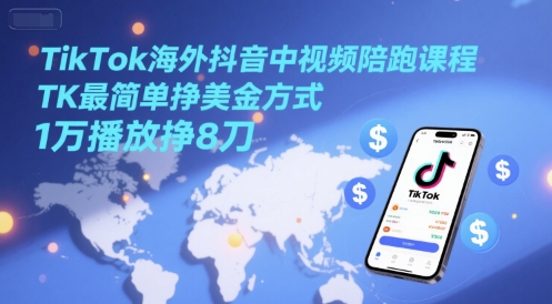 TikTok海外抖音中视频陪跑课程，TK最简单挣美金方式，1万播放挣8刀-铜臭网