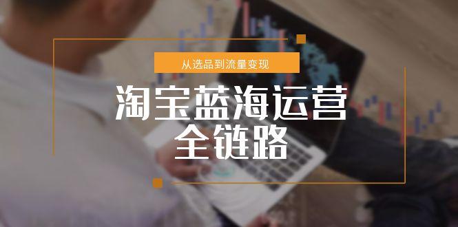 淘宝蓝海运营全链路，从选品到流量变现，小类目突围完整方案-铜臭网