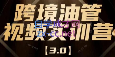 阿蔺Leo·跨境油管视频YouTube实训营(更新2025)-铜臭网