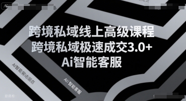 跨境私域线上高级课程,跨境私域极速成交3.0+Ai智能客服-铜臭网