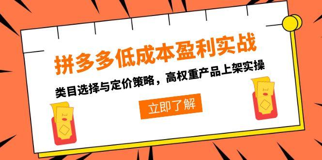 拼多多低成本盈利实战,类目选择与定价策略,高权重产品上架实操-铜臭网