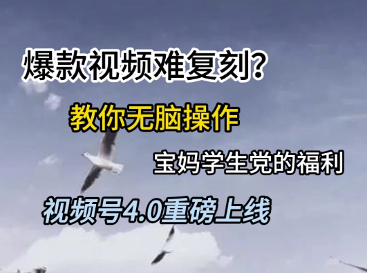 视频号4.0重磅上线，爆款视频难复刻？教你无脑操作宝妈学生党的福利【揭秘】-铜臭网