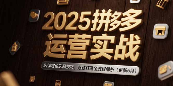 2025拼多多运营实战：店铺定位选品技巧，爆款打造全流程解析(更新6月-铜臭网