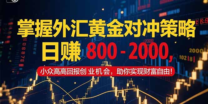 掌握外汇黄金对冲策略，日赚 800 - 2000，小众高回报创业机会，助你实...-铜臭网