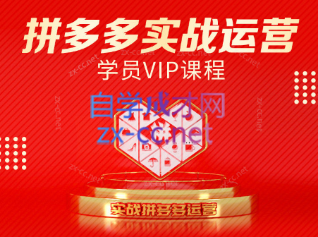 推易电商·拼多多实战运营课(更新2025月)-铜臭网