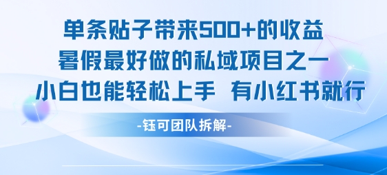 单条贴子带来5张的收益，暑假最好做的私域项目之一，小白也能轻松上手，有小红书就行-铜臭网