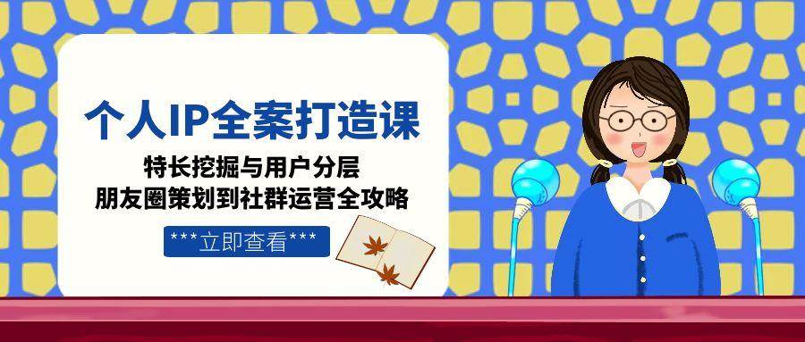 个人IP全案打造课，特长挖掘与用户分层，朋友圈策划到社群运营全攻略-铜臭网