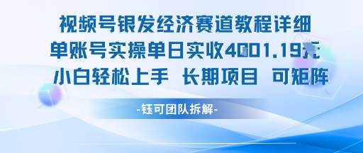 视频号银发经济赛道单账号实操单日实收1k+，小白轻松上手长期项目-铜臭网