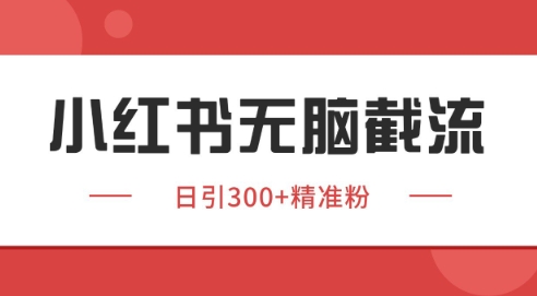 小红书截流同行客源，独家野路子获客玩法 日引200+暴力获客【揭秘】-铜臭网