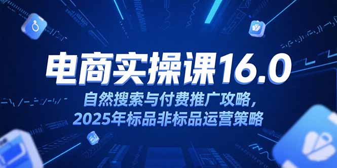 淘宝电商运营课16.0，自然搜索与付费推广攻略，2025年标品非标品运营策略-铜臭网