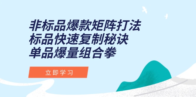 非标品爆款矩阵打法，标品快速复制秘诀，单品爆量组合拳-铜臭网