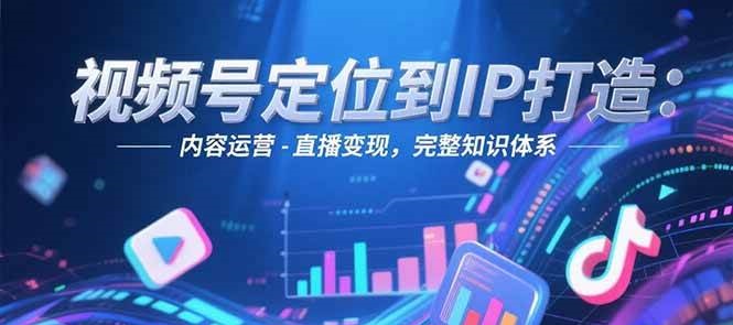 视频号定位到IP打造：账号搭建-内容运营-直播变现，完整知识体系-铜臭网