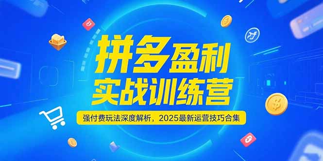 拼多多盈利实战训练营，强付费玩法深度解析，2025运营技巧合集-更新6月-铜臭网