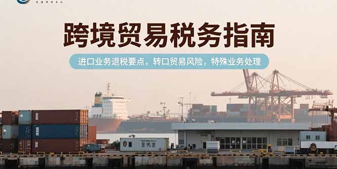 跨境贸易税务指南，进口业务退税要点，转口贸易风险，特殊业务处理-铜臭网