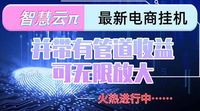 智慧云π电脑挂机单机每天收益300—500+ 并带有团队管道收益 可无限放大-铜臭网