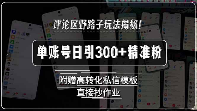 评论区野路子玩法揭秘！单账号日引300+精准粉，附赠高转化私信模板，直...-铜臭网