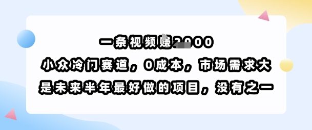 一条视频挣1k，小众冷门赛道，0成本，市场需求大，是未来半年最好做的项目，没有之一-铜臭网