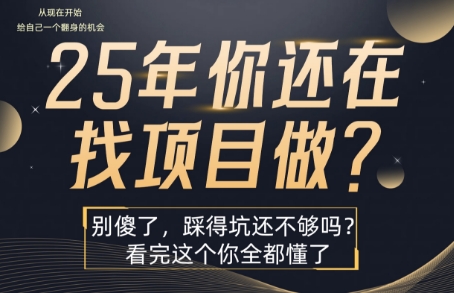 25年，你还在疯狂的找项目吗？别傻了，看完这个你都懂了【揭秘】-铜臭网