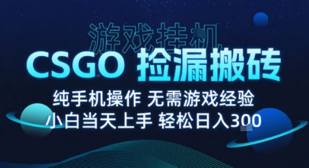 8月最新游戏搬砖，CSGO纯挂G，不需要玩游戏，实现真挂G，月入1W+【揭秘】-铜臭网