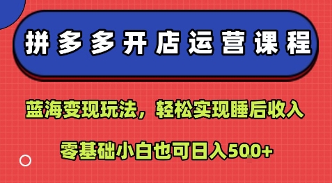 拼多多开店运营课程：蓝海变现玩法，轻松实现睡后收入，零基础小白也可日入5张-铜臭网