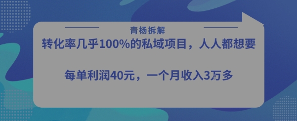 转化率最高的私域项目，每单利润40-50米，月入过1w-铜臭网