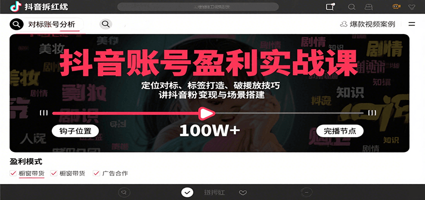 抖音账号盈利实战课，定位对标、标签打造、破播放技巧，讲涨粉变现与场景搭建-铜臭网