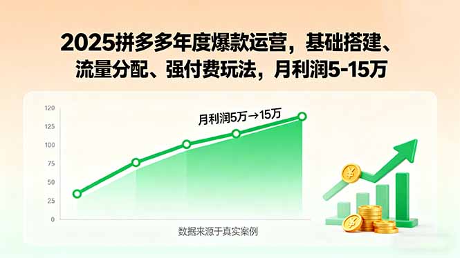 2025拼多多年度爆款运营，基础搭建、流量分配、强付费玩法，月利润5-15万-铜臭网