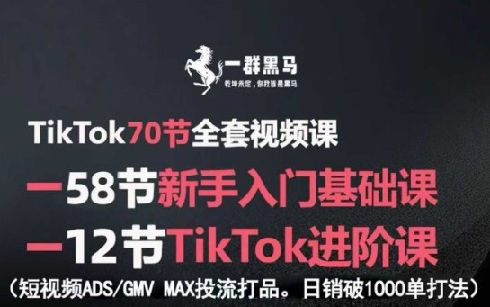 TikTok全套视频课，新手入门+进阶课，短视频ADS-GMV MAX投流打品，日销破1000单打法-铜臭网