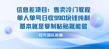 信息差项目：售卖冷门教程单人单号日收9张纯利基本就是复制粘贴就能做-铜臭网