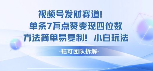 视频号发财赛道单条7W点赞变现四位数方法简单易复制小白玩法-铜臭网