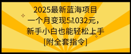 2025最新蓝海项目一个月变现1w+新手小白也能轻松上手【附全套指令】-铜臭网