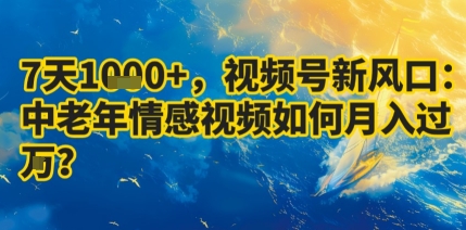 7天收益1k+，视频号新风口：中老年情感视频如何月入过W?-铜臭网