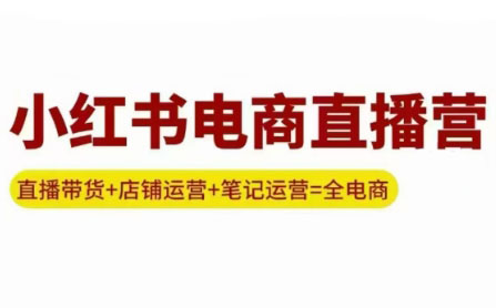 申铭老师·小红书电商直播营(更新)-铜臭网