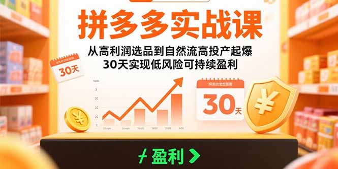 拼多多实战课：从高利润选品到自然流高投产起爆 30天实现低风险可持续盈利-铜臭网