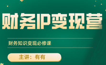 有有老师·财务IP变现营，财务知识变现必修课-铜臭网