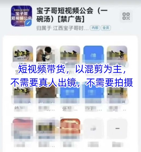 宝子哥头部团队短视频带货，以混剪为主，不需要真人出镜，不需要拍摄【更新8月】-铜臭网