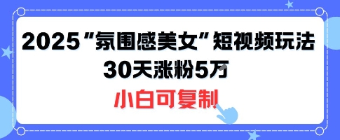 不露脸也能火！2025“氛围感美女”短视频玩法，30天涨粉5W小白可复制-铜臭网