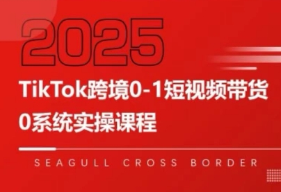 大亿老师·TikTok跨境0-1短视频带货-铜臭网