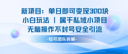 新项目单日即可变现3张的小白玩法无脑操作不封号安全引流-铜臭网