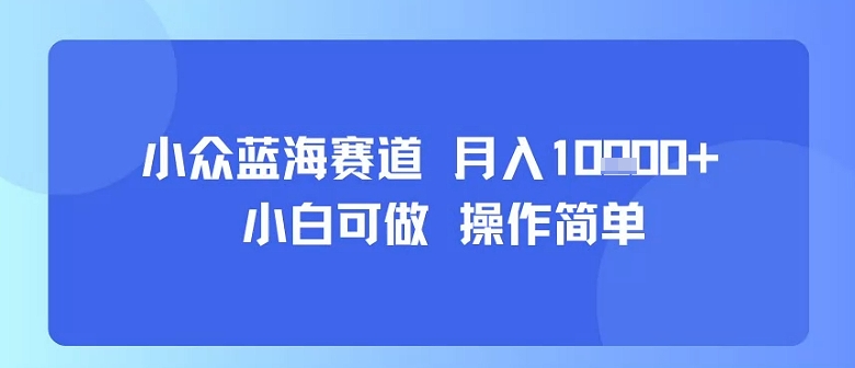 小众蓝海赛道，小白可做，操作简单，每天30分钟，月入1W+-铜臭网