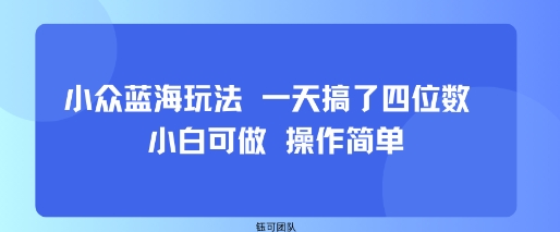 小众蓝海玩法 一天搞了四位数 小白可做 操作简单-铜臭网