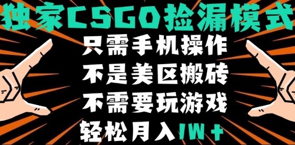 CSGO自动捡漏项目，最新独家玩法，不是美区搬砖，不需要了解和玩游戏，新手小白轻松月入1W+【揭秘】-铜臭网