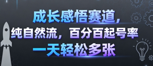 成长感悟赛道，纯自然流，百分百起号率 一天轻松多张-铜臭网