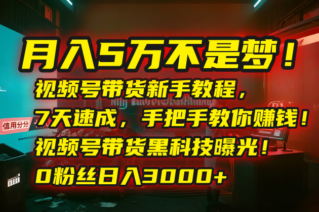 月入5万不是梦！视频号带货新手教程，7天速成，手把手教你赚钱！视频号…-铜臭网