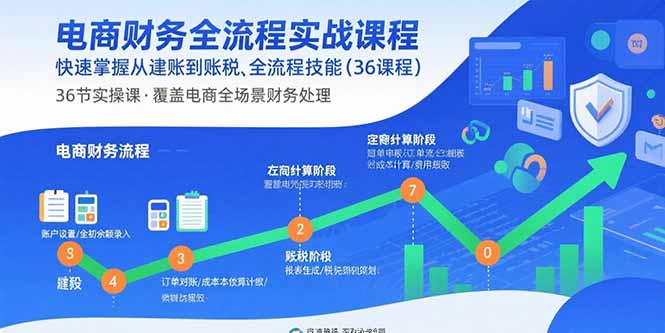 电商财务全流程实战课程：快速掌握从建账到报税的全流程技能(36节课-铜臭网